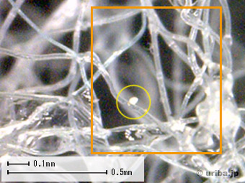 業務用エアコンフィルター顕微鏡写真ゴミ付き1